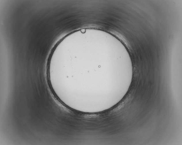 X0000111851135200908201232