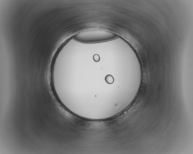 X0000111851136200908201232