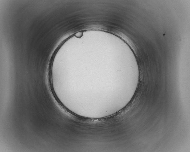 X0000111851139200908201232