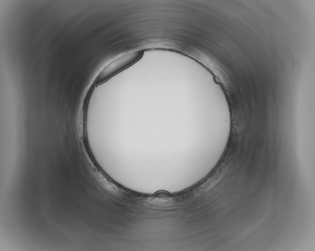 X0000111851140200908201232