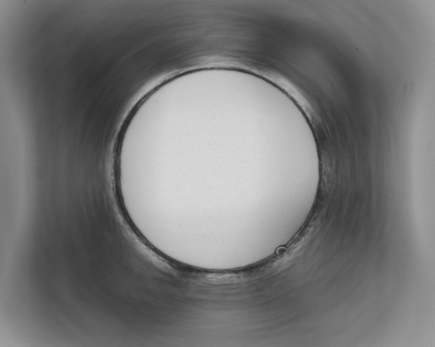 X0000111851142200908201232