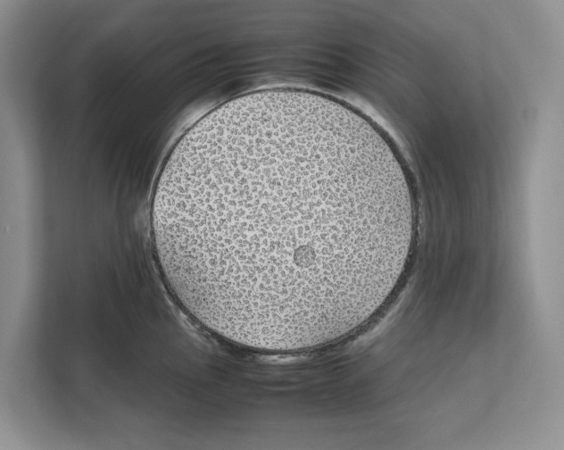 X0000111851145200908201232