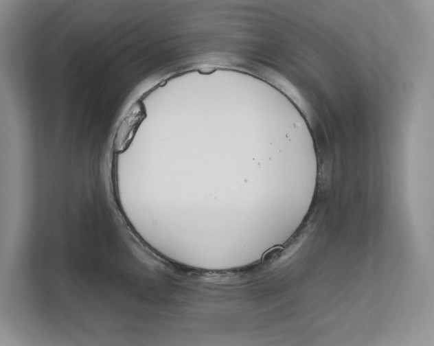 X0000111851146200908201232