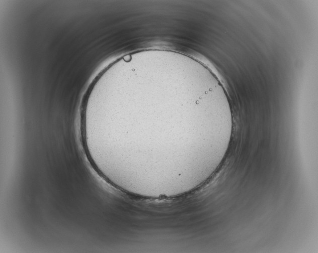 X0000111851147200908201232