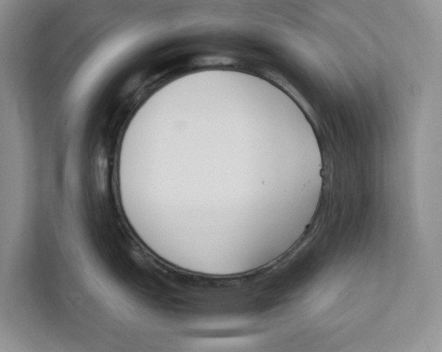 X0000111851151200908201232