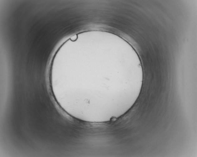 X0000111851152200908201232
