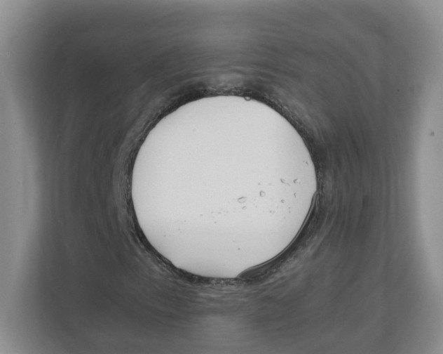 X0000111851153200908201231