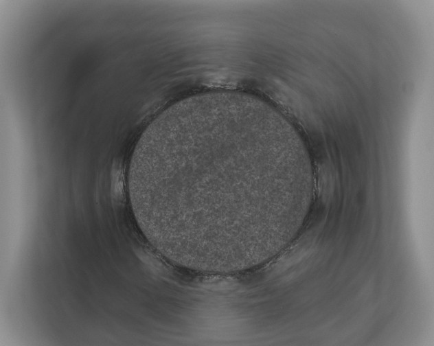 X0000111851154200908201231