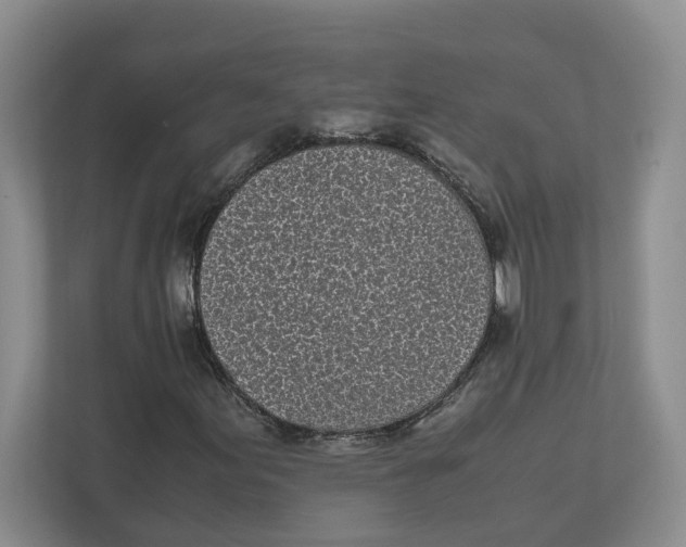 X0000111851155200908201231