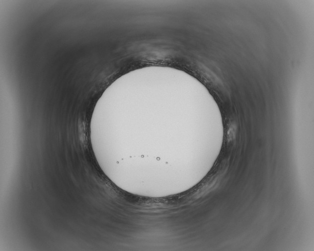 X0000111851156200908201231