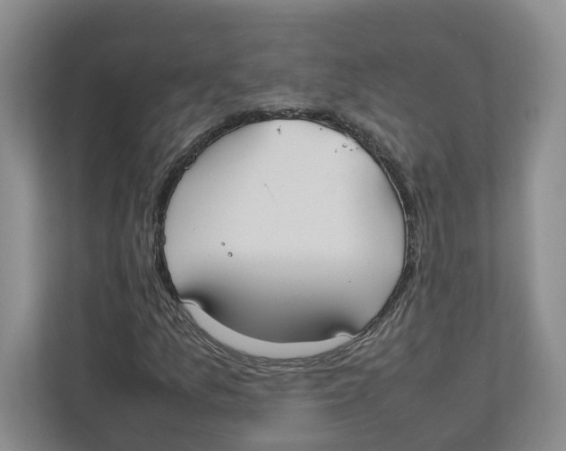 X0000111851157200908201231