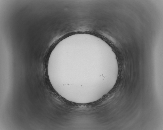 X0000111851160200908201231