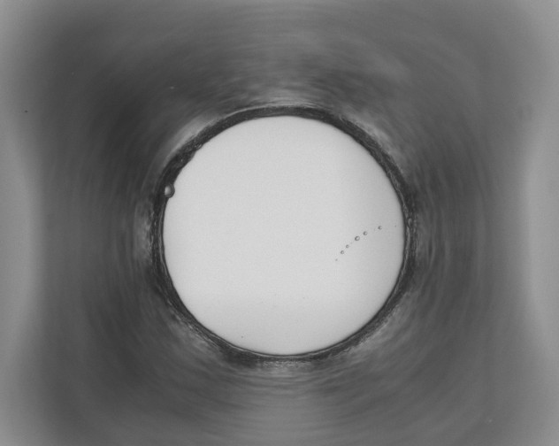 X0000111851163200908201231
