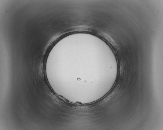 X0000111851164200908201231
