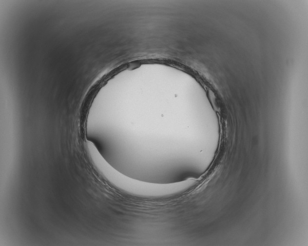 X0000111851165200908201231