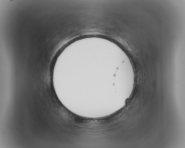 X0000111851167200908201231