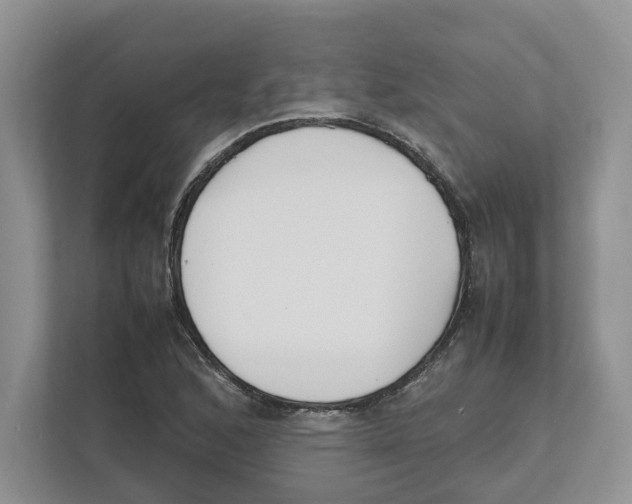 X0000111851168200908201231