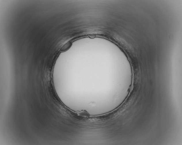 X0000111851169200908201231