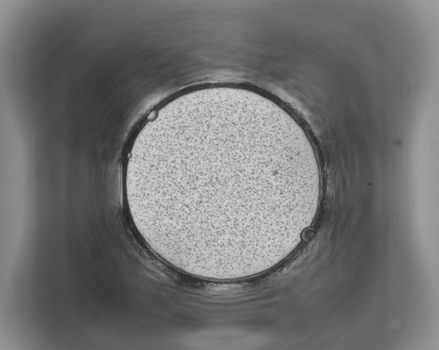 X0000111851171200908201231