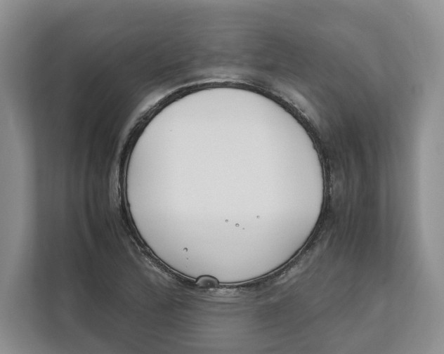 X0000111851172200908201231