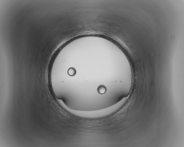 X0000111851173200908201231