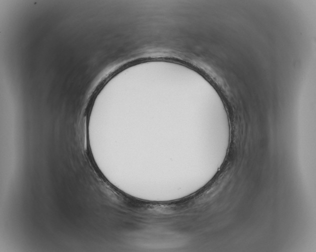 X0000111851175200908201231