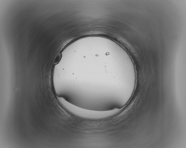 X0000111851177200908201231