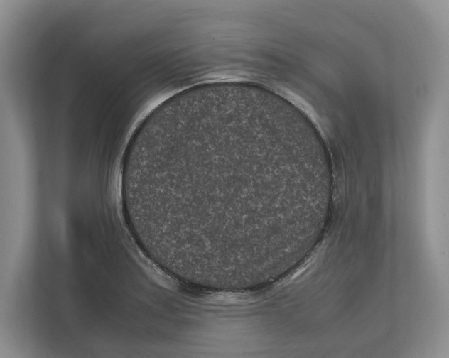 X0000111851179200908201231