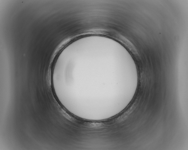 X0000111851180200908201231