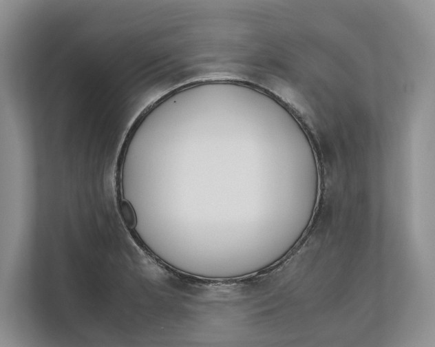 X0000111851181200908201231