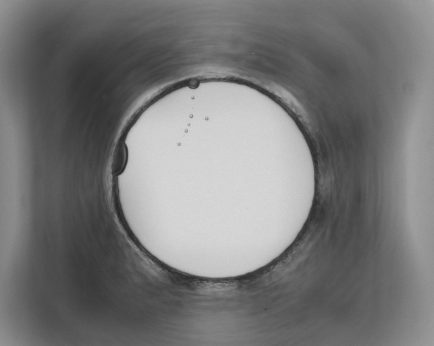X0000111851183200908201231