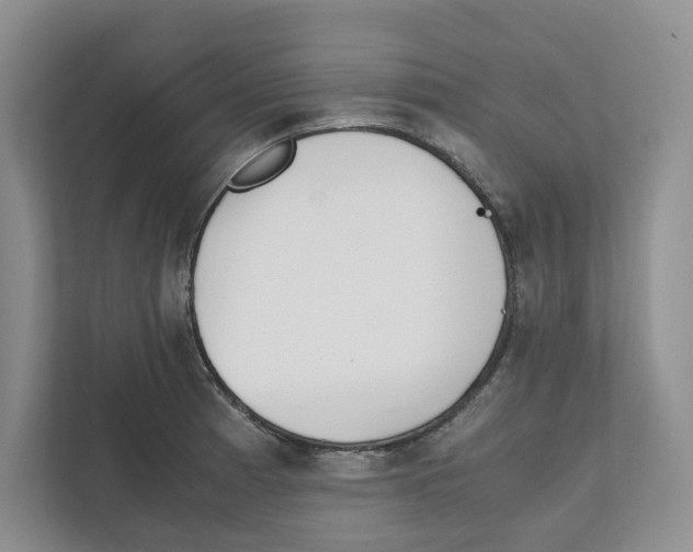 X0000111851185200908201231