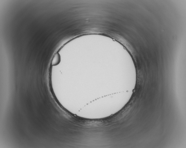 X0000111851187200908201231