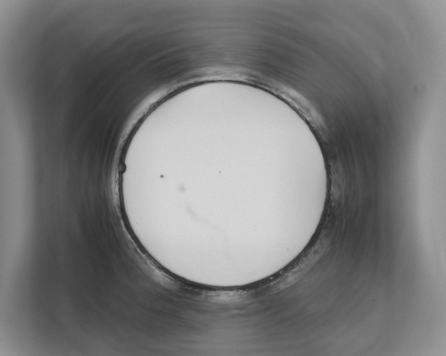 X0000111851188200908201231
