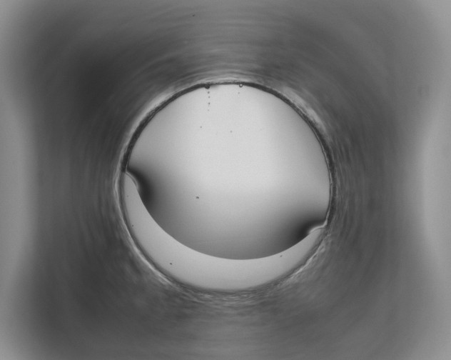 X0000111851189200908201231