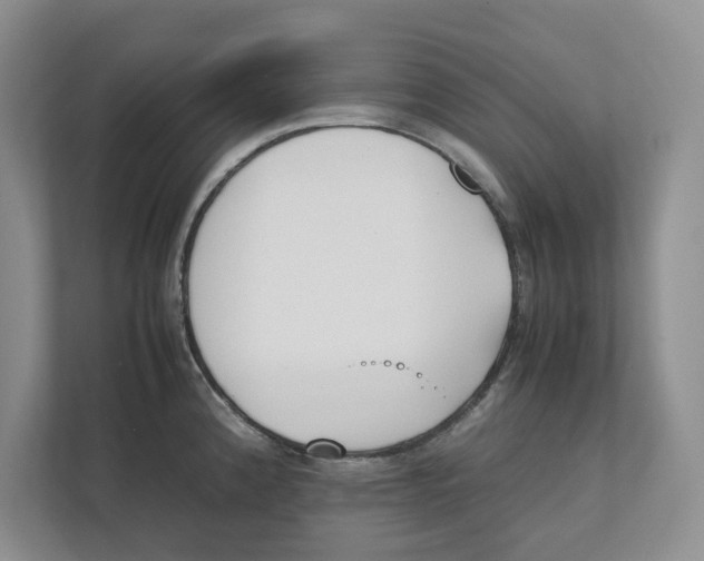 X0000111851192200908201231