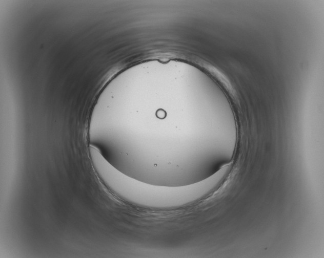X0000111851193200908201231
