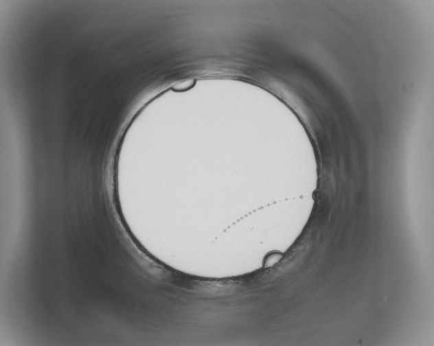 X0000111851195200908201231