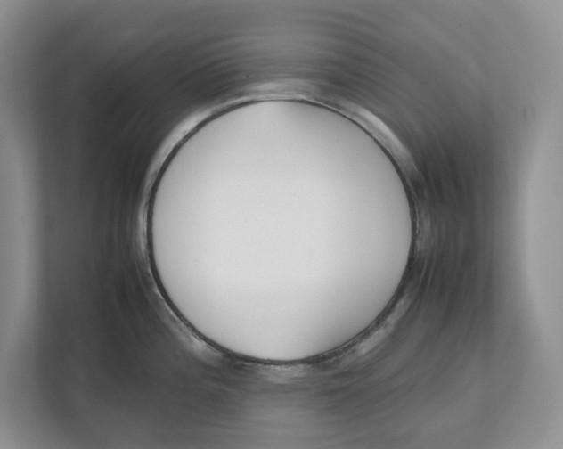 X0000111851196200908201231