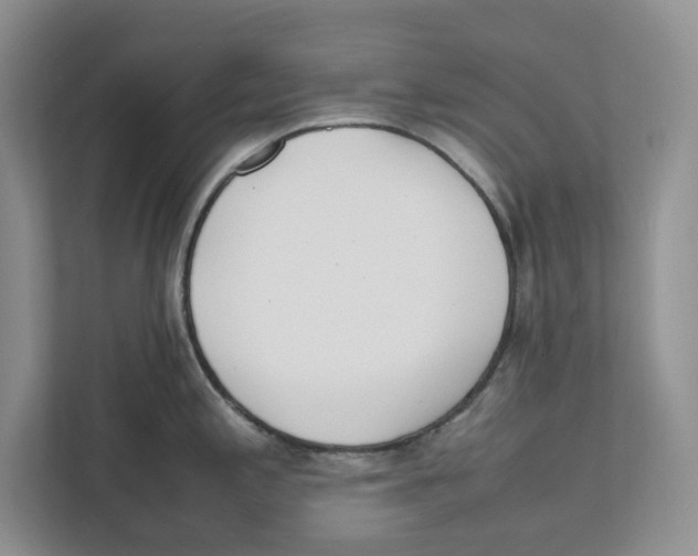 X0000111851197200908201231