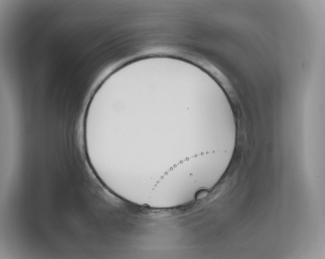 X0000111851199200908201231