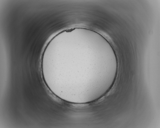 X0000111851200200908201231