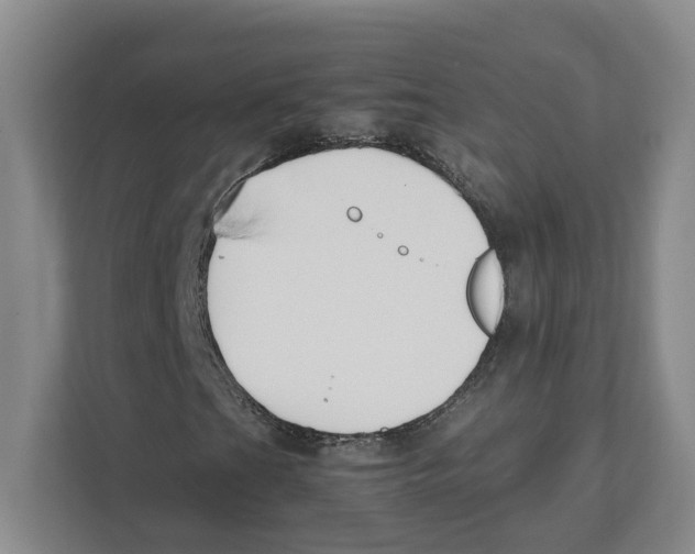 X0000111851201200908201230