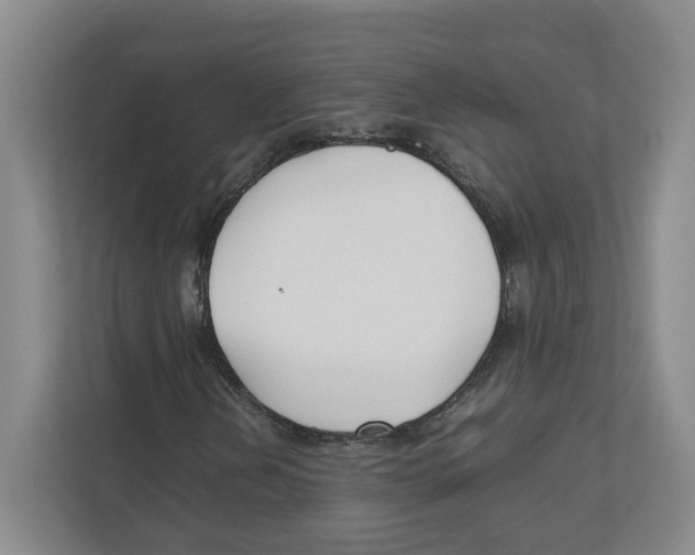 X0000111851202200908201230