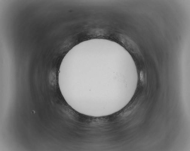 X0000111851203200908201230