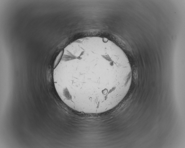 X0000111851204200908201230