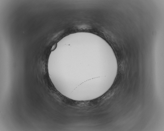 X0000111851205200908201230