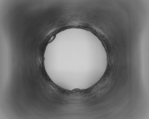 X0000111851206200908201230