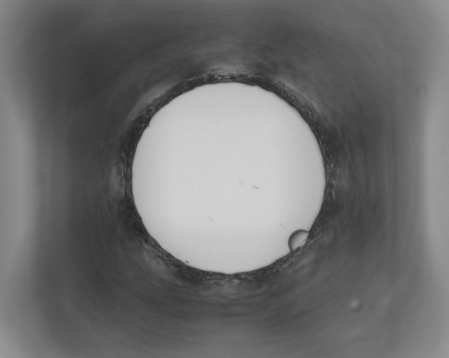 X0000111851207200908201230