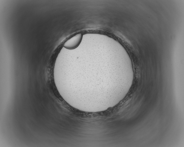 X0000111851208200908201230